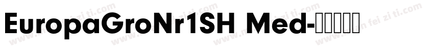 EuropaGroNr1SH Med字体转换